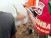 proses evakuasi jasad pemancing di Sungai Cijalu bawah, pada Senin,01 Juli 2024 (Blur Foto)