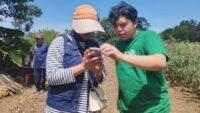 Kementerian Pertanian Bekerjasama dengan KOLTIVA dalam Proyek Pengembangan Kawasan Lahan Kering Hortikultura di 7 Provinsi di Indonesia