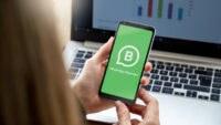Pebisnis Wajib Tahu! Ini 10 Manfaat WhatsApp Official Centang Hijau Untuk Bisnis Anda