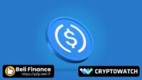 Panduan Eksklusif melalui Beli Finance X Cryptowatch