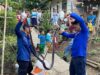 Petugas Damkar Majenang Cilacap berhasil amankan Ular Kobra sepanjang 2 meter di Cimanggu