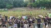 PT Pigeon Indonesia Tanam 1.000 Pohon Mangrove di Pantai Indah Kapuk Jakarta