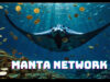 Memaksimalkan Keuntungan dengan Staking Manta di Ekosistem Manta Network