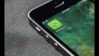 5 Rekomendasi Vendor WhatsApp Business API Provider Terbaik di Indonesia