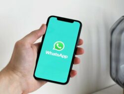 Wajib Tau! Ini Alasan Kenapa Bisnis Perlu Menggunakan WhatsApp Business API