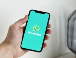 Wajib Tau! Ini Alasan Kenapa Bisnis Perlu Menggunakan WhatsApp Business API