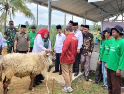 Baznas RI Luncurkan Program Balai Ternak di Babakan Banyumas