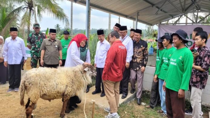 BAZNAS RI luncurkan Program Balai Ternak di Desa Babakan pada Rabu 31 Juli 2024