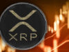 XRP Palapa (1)