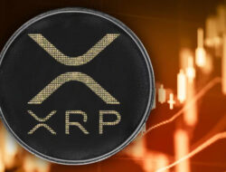 Tren Kenaikan Harga XRP dan Potensinya untuk Mencapai Rekor Baru