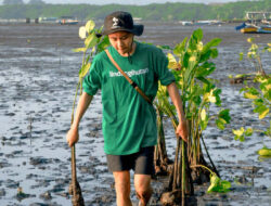 Capaian LindungiHutan dalam Melestarikan Lingkungan Sepanjang 2023