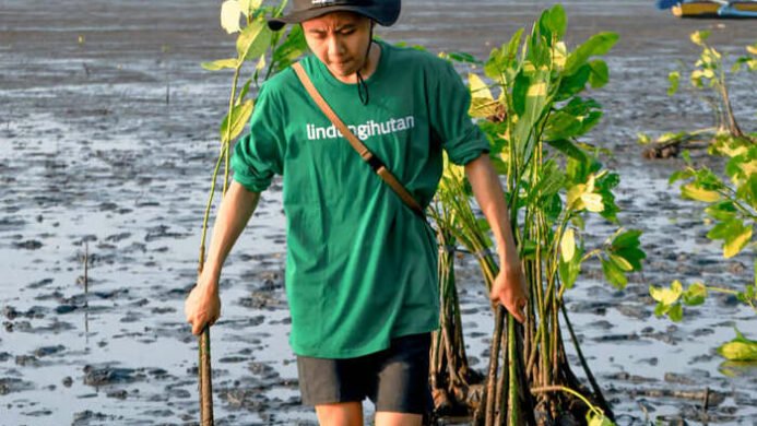 Capaian LindungiHutan