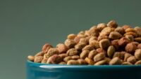 Tren Penjualan Makanan Kucing di Januari – Mei 2024, Royal Canin Menguasai Pasar
