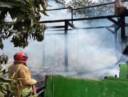 Ditinggal Jemur Padi, Rumah Nenek Rasem Ludes Dilalap Api 