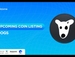 Segera Listing di Bittime, Ini yang Perlu Anda Ketahui tentang DOGS!