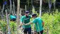 Makna Kemerdekaan dan Pelestarian Lingkungan Menurut CEO LindungiHutan