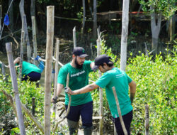 Makna Kemerdekaan dan Pelestarian Lingkungan Menurut CEO LindungiHutan