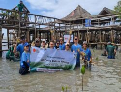 Program CSR PT Orico Balimor Finance Tanam 1.000 Mangrove di Ekowisata Mangrove Wonorejo Surabaya