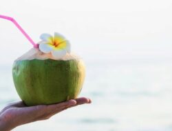 Benarkah Minum Kelapa Muda saat Haid Bisa Membuat Darah Banyak?