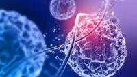 Stem Cell, Kunci Pengobatan Penyakit Degeneratif dan Penyakit yang Susah Ditangani?