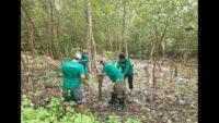Ekowisata Mangrove Wonorejo Hadapi Tantangan Besar Akibat Sampah