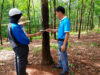 Huy Anh Rubber Co Ltd Gandeng KOLTIVA