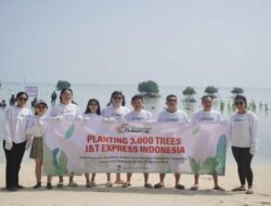 Program CSR J&T Express Tanam 3.000 Mangrove untuk Melestarikan Lingkungan