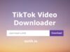 Platform Download Video TikTok SSSTIK