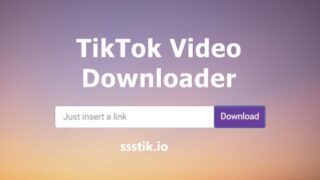 ssstik.io & reelsvideo.io: Solusi Praktis Download Video Tanpa Watermark