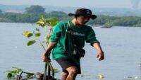 POLUTREE, Program Baru LindungiHutan untuk Pengurangan Emisi Gas Rumah Kaca