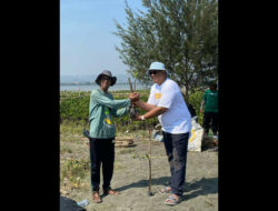 The Wujil Resort Ungkap Kerja Sama dengan LindungiHutan dan Perkembangan Mangrove Terkini