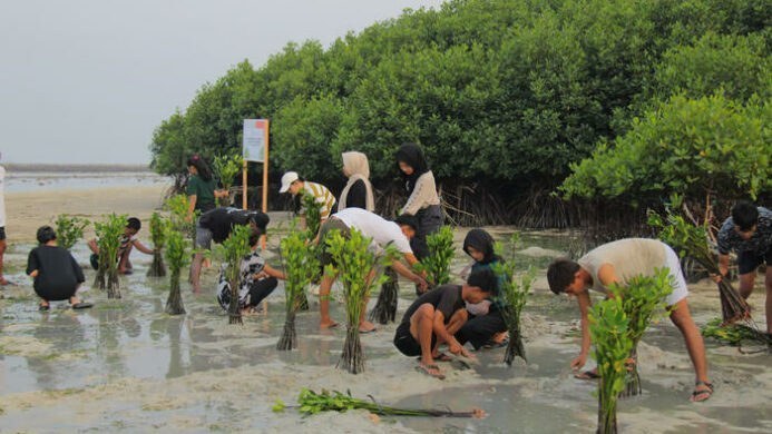 LindungiHutan x Smiling Coral Indonesia (LindungiHutan)