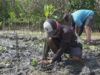 Mangrove Capital (LindungiHutan)