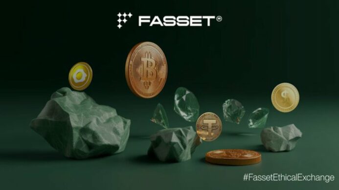 Ilustrasi Crypto Exchange FASSET