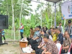 Memperingati Hari Listrik Nasional, PLN Pasang 3654 instalasi Listrik Gratis