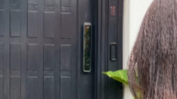 Takut Kehabisan Baterai? Smart Door Lock Ini Punya Fitur Low Battery Reminder!