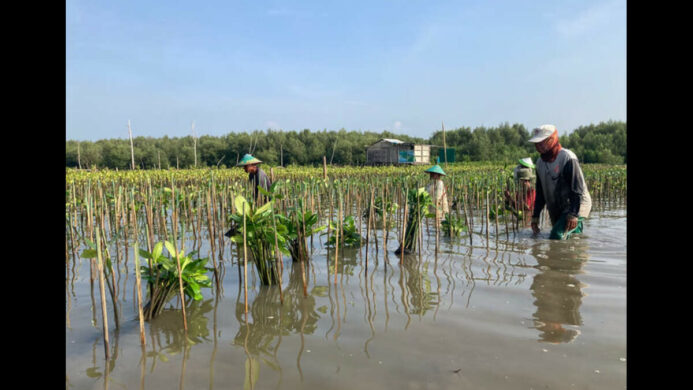 Dokumentasi Berita (Sumber: LindungiHutan)