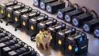 Mau Dogecoin Gratis? Pelajari Cara Mining DOGE di Panduan Ini!