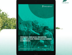 Panduan Praktis Memahami Perdagangan Karbon di Indonesia