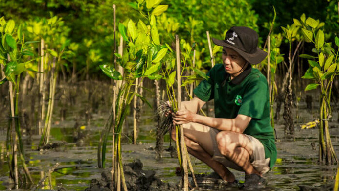 Usaha Konservasi Mangrove di Teluk Benoa oleh LindungiHutan dan Bendega