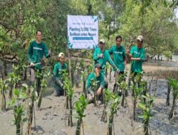 Dedikasi untuk Negeri: Bank Indonesia Dukung LindungiHutan Tanam 20.000 Pohon Bakau