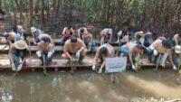 LindungiHutan Terlibat dalam Program CSR PT Panin Asset Management Tanam Mangrove di PIK