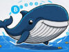 Whale Crypto