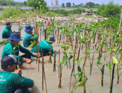 Platform Kolaborasi untuk Perusahaan Melakukan Penghijauan dan Mitigasi Perubahan Iklim