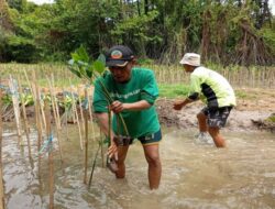 Dampak Nyata LindungiHutan Tanam 978.000 Pohon di Indonesia