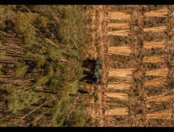 Koltiva Dorong Dialog Multi-Pemangku Kepentingan tentang Regulasi Anti Deforestasi Uni Eropa dan Kepatuhan untuk Keberlanjutan Industri