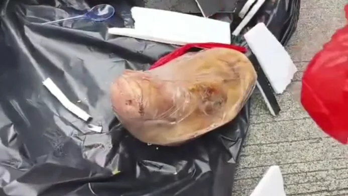 Penampakan paket yang berisi kepala babi yang dikirimkan ke Kantor Tempo Rabu 19 Maret 2025 (Foto Dok Tempo)
