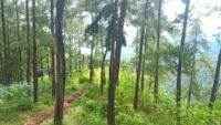 Terkesan Sepi, Ternyata Untuk Wisata Trail Adventure Kalisalak