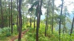 Terkesan Sepi, Ternyata Untuk Wisata Trail Adventure Kalisalak