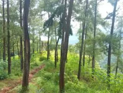 Terkesan Sepi, Ternyata Untuk Wisata Trail Adventure Kalisalak
